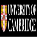 Henry International Fellowships in UK